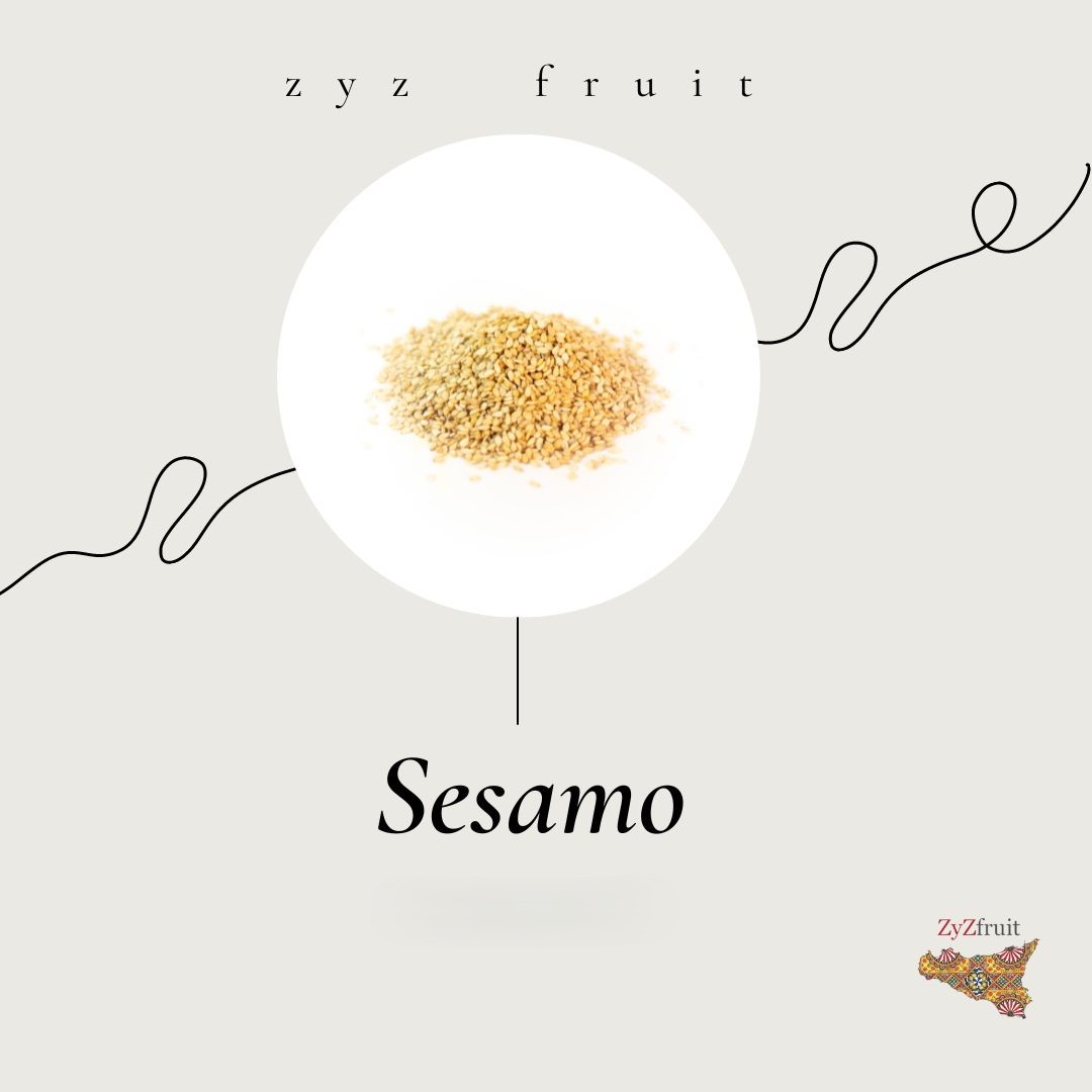 Sesamo